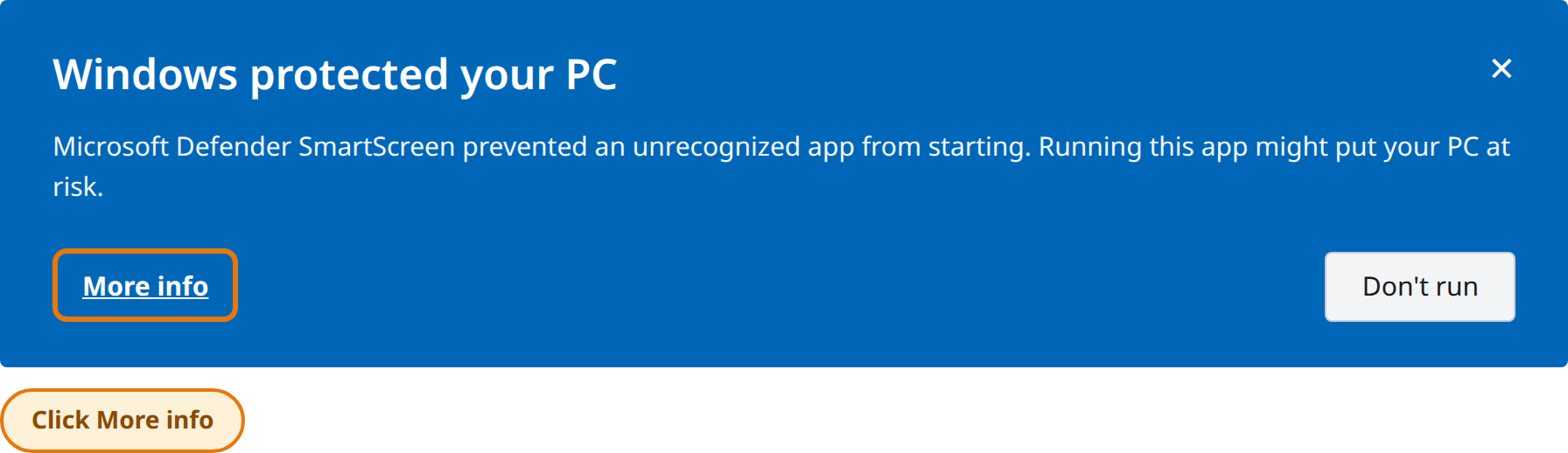 Click More info in the Windows protected your PC window